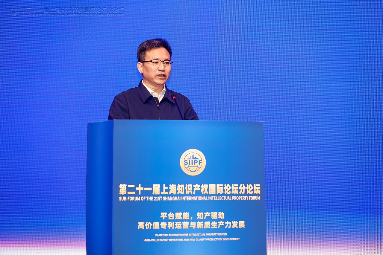 全国 知识 产权 质押 信息 平台 (99) 사진